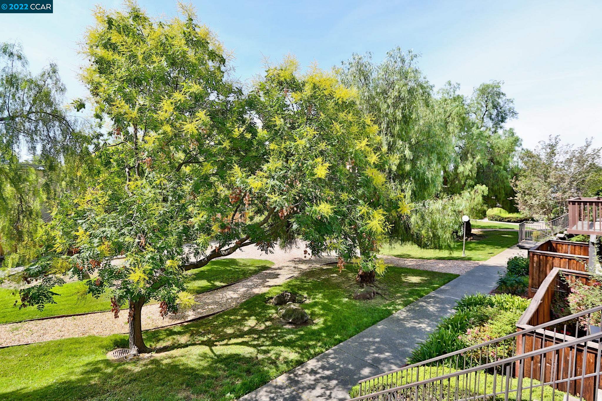 1060 Oak Grove Road, Unit 20 Concord, CA 94518 - Photo 1 of 1 a view of yard with green space
