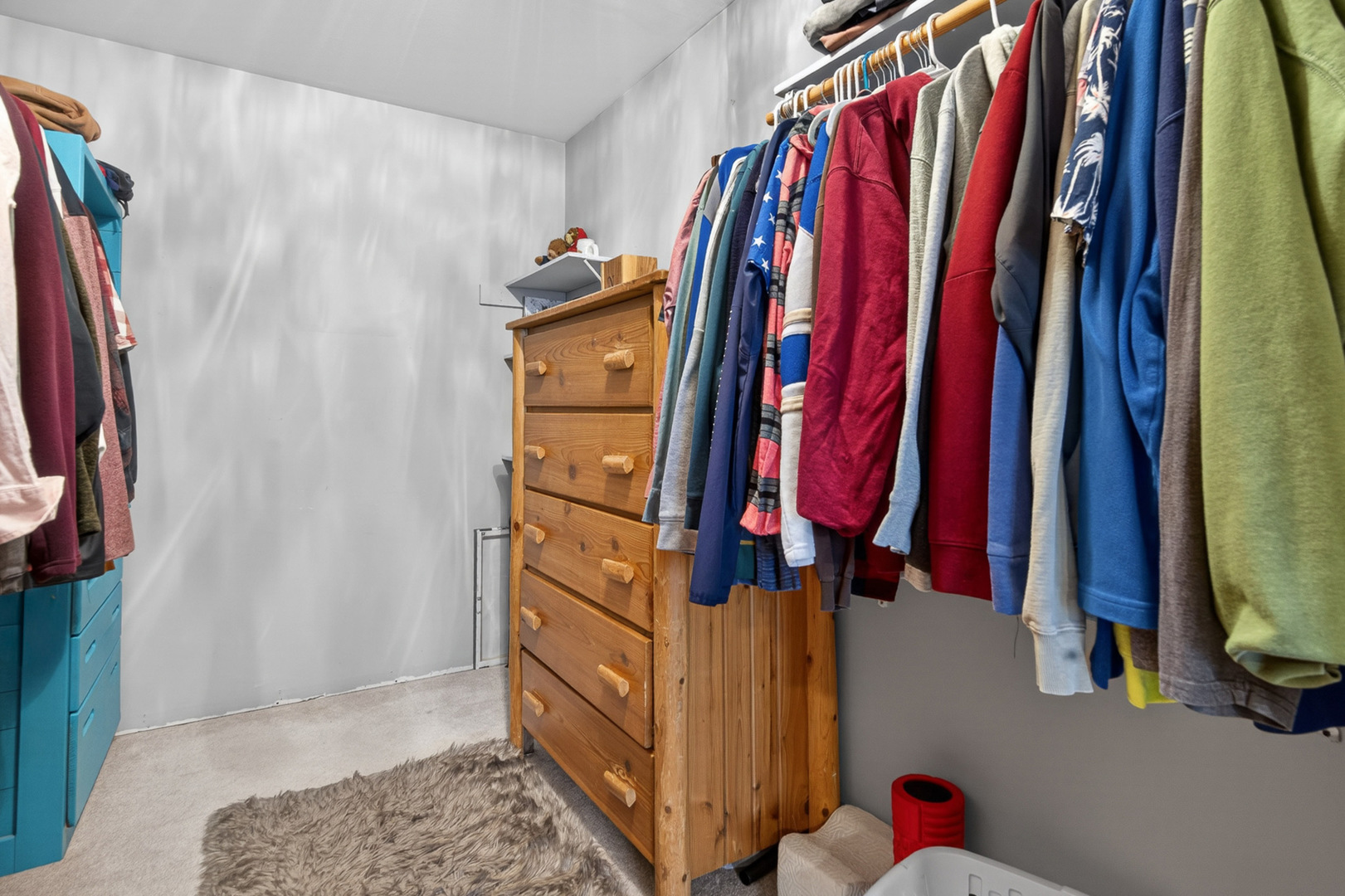 10321 Steeplechase Lane Spring Grove, IL 60081 - Photo 19 of 30