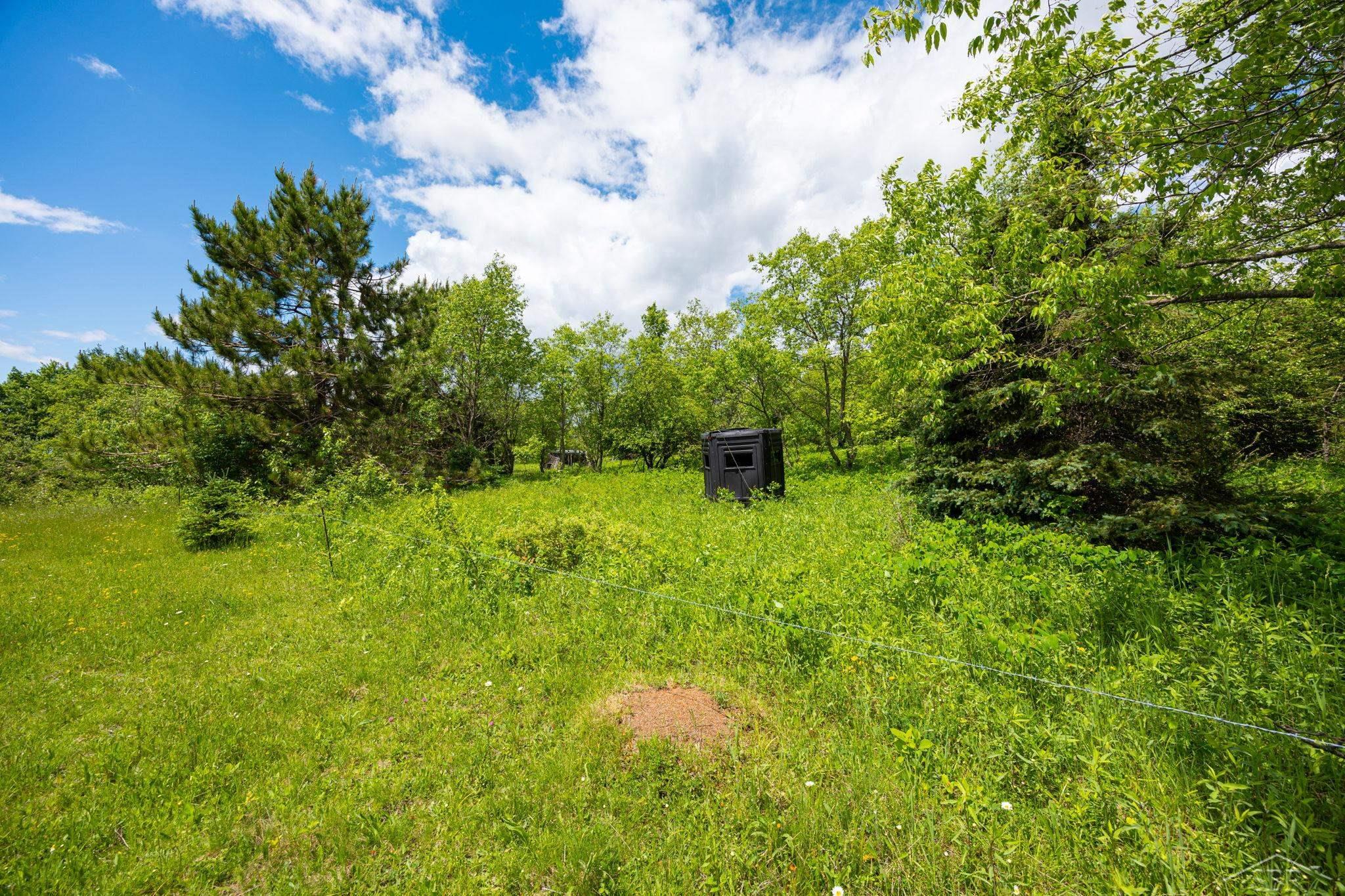25615 Leo S Road Watton, MI 49970 - Photo 61 of 72