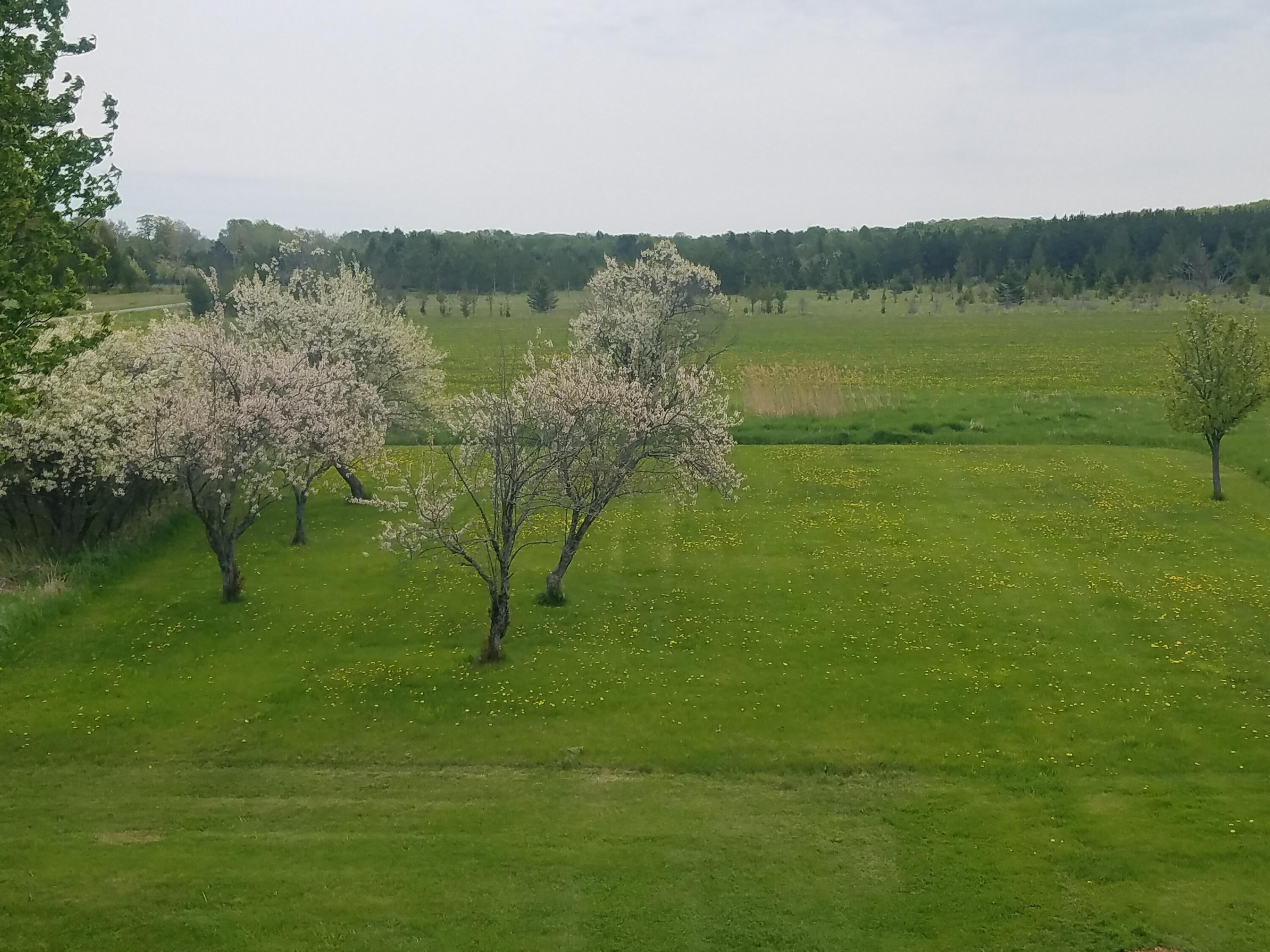 10372 Cathro Road Posen, MI 49776 - Photo 52 of 65 Gallery Image 52