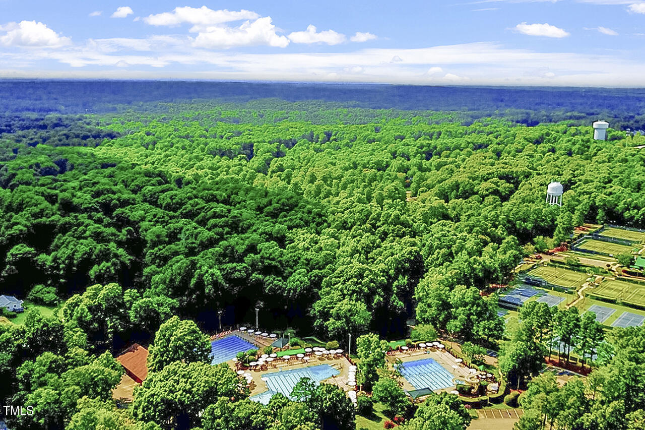 2520 Harptree Court Raleigh, NC 27613 - Photo 55 of 69 a view of a garden with an outdoor space