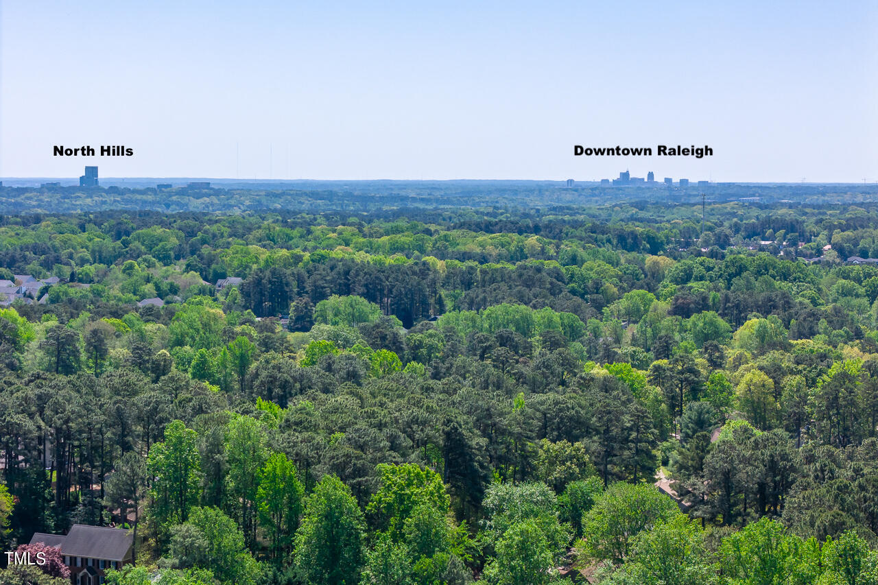 2520 Harptree Court Raleigh, NC 27613 - Photo 65 of 69 2520-harptree-mls-12