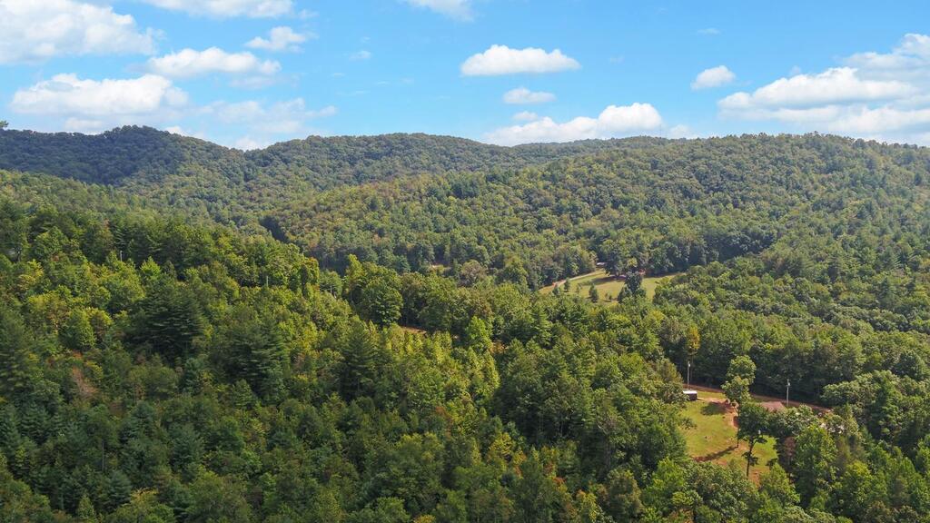 3021 Hanging Dog Road Murphy, NC 28906 - Photo 65 of 65 Gallery Image 65