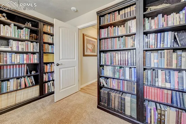 a living room with furniture a window and bookshelf