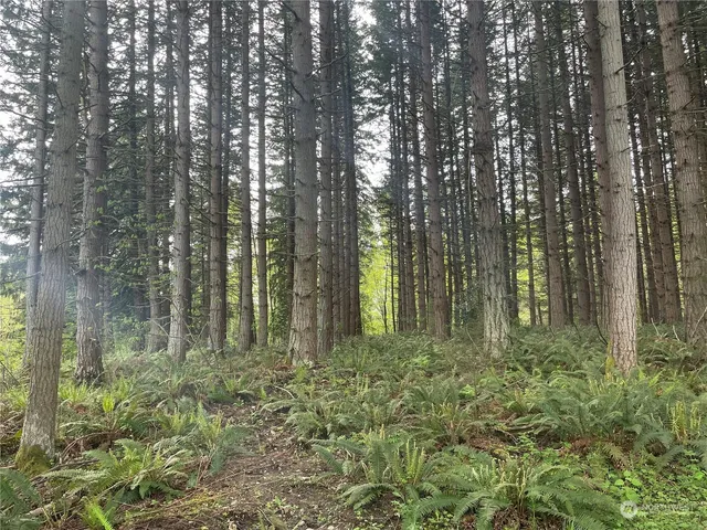 a view of outdoor space and green space