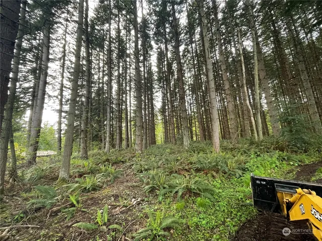 a view of outdoor space and garden