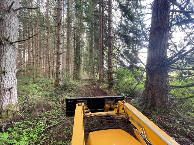 a view of a yard with a tree