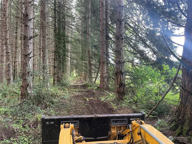 a view of a wooden chairs in a backyard