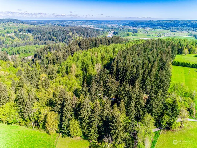 a view of a city with green space