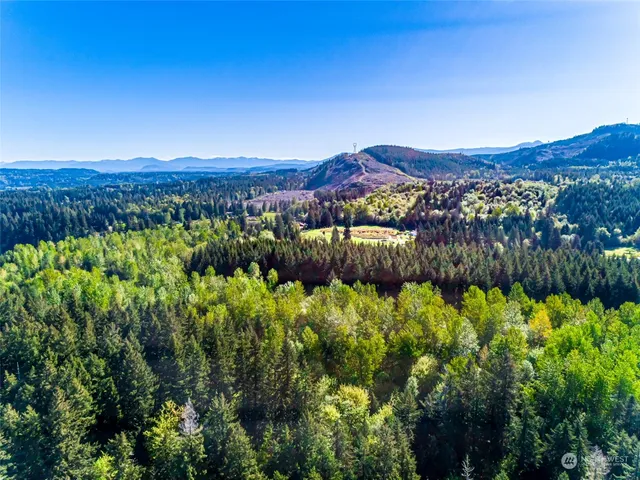 a view of a lush green field with mountains in the background