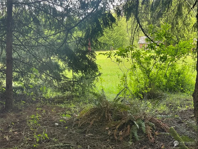 a backyard of a house with lots of green space