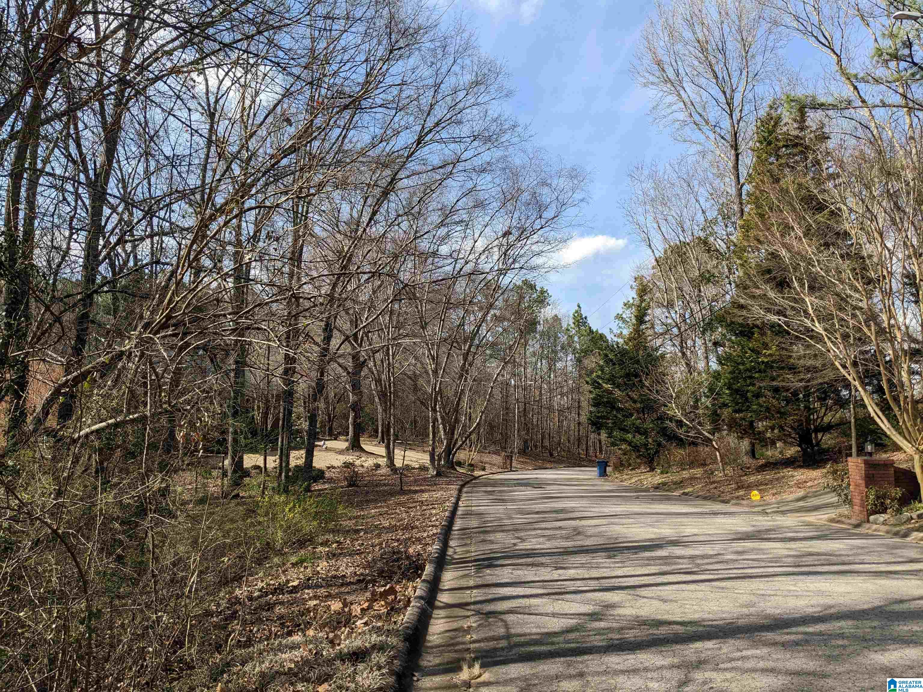 0 Hathaway Heights Road, Unit 2 & 3 Anniston, AL 36207 - Photo 29 of 30