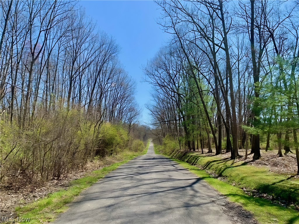 6770 Akron Peninsula Road Peninsula, OH 44264 - Photo 32 of 35 View of street