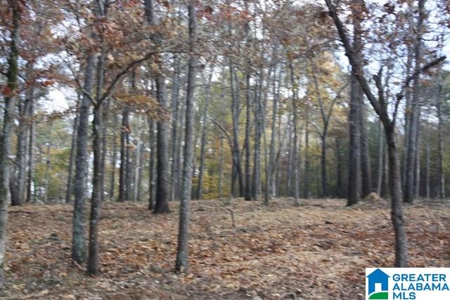 Peyton Place, Unit 3 Weaver, AL 36277 - Photo 29 of 40