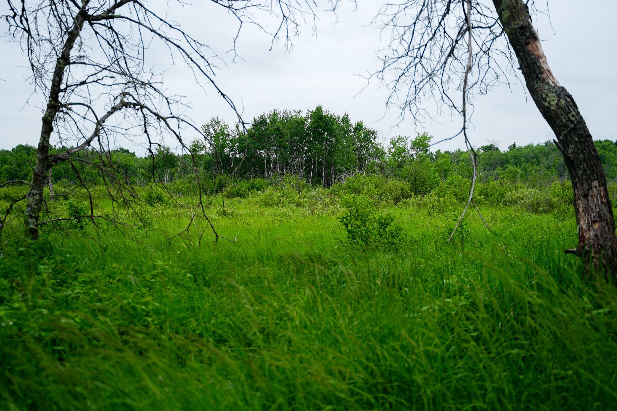 25820 County Road 26 Sebeka, MN 56477 - Photo 39 of 103