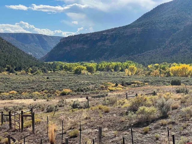 a view of a dry yard with wooden fence
