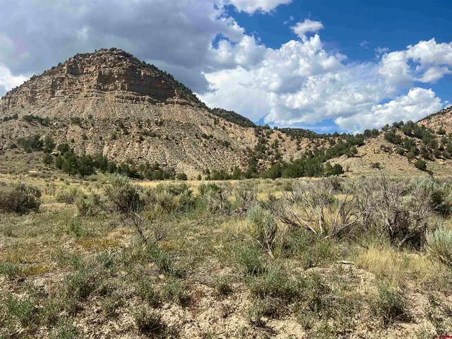 a view of a big yard