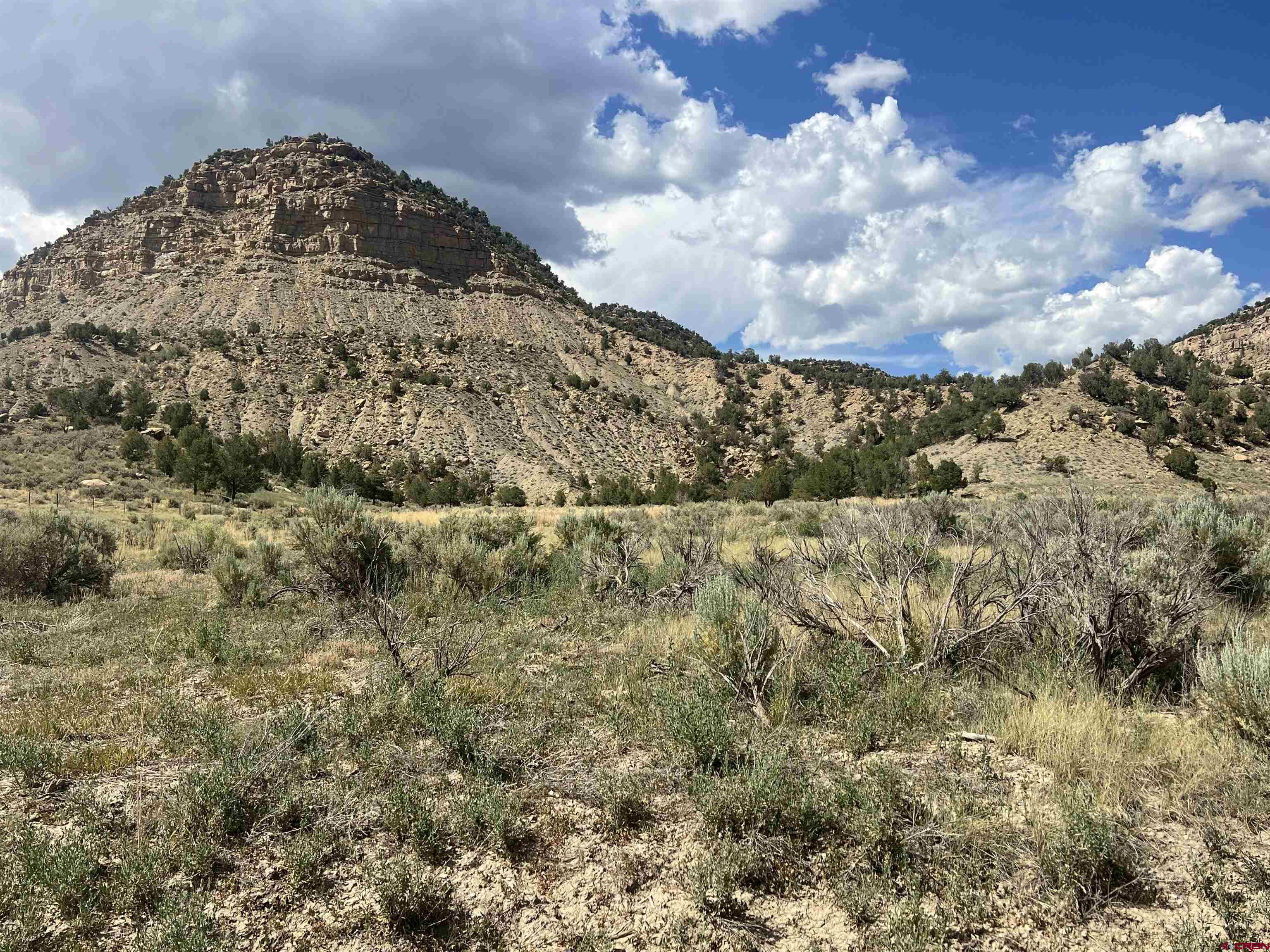 41 Road 41 Mancos, CO 81328 - Photo 17 of 27 a view of a big yard