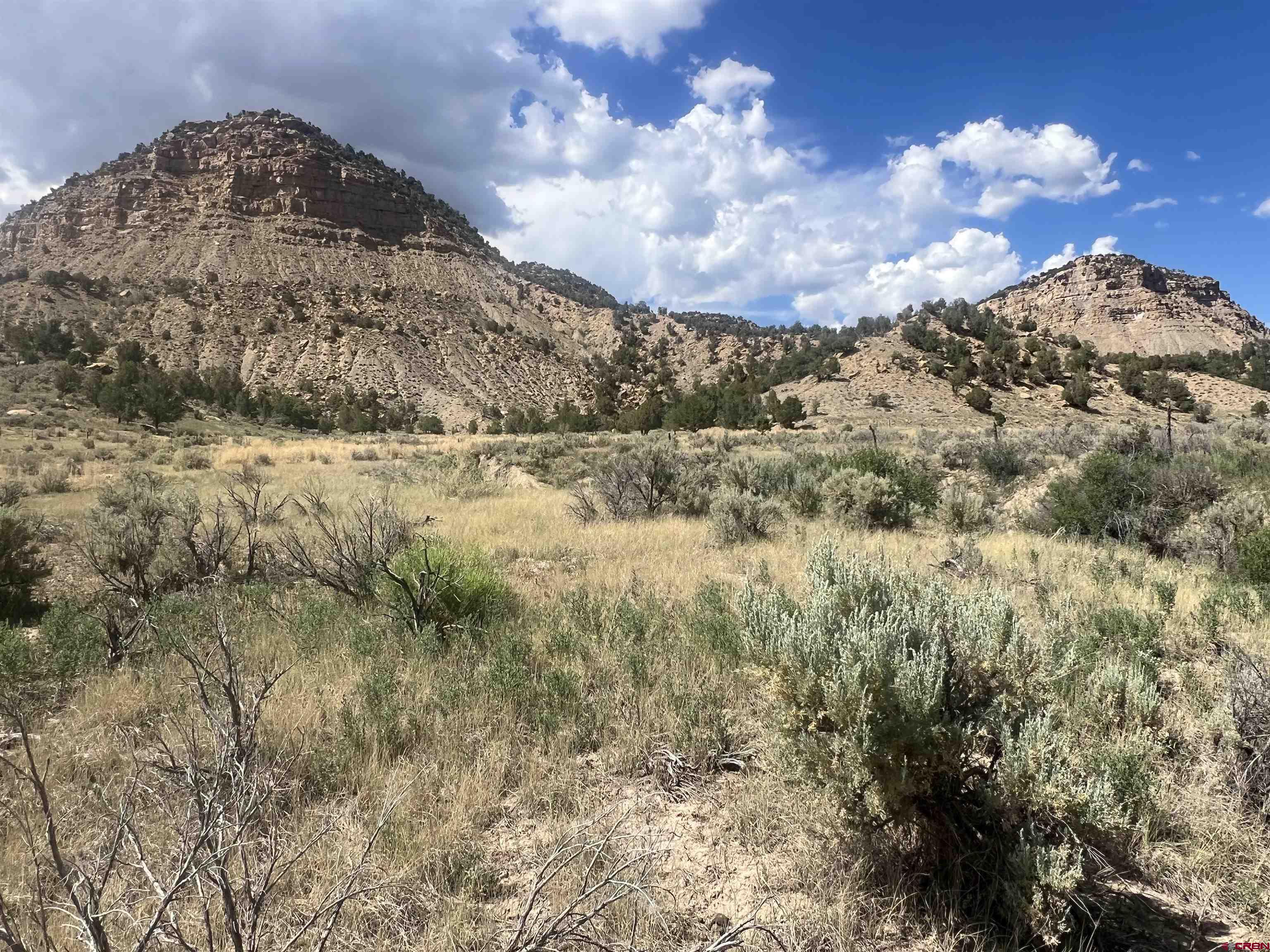 41 Road 41 Mancos, CO 81328 - Photo 22 of 27 a view of a yard