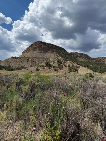 a view of a mountain