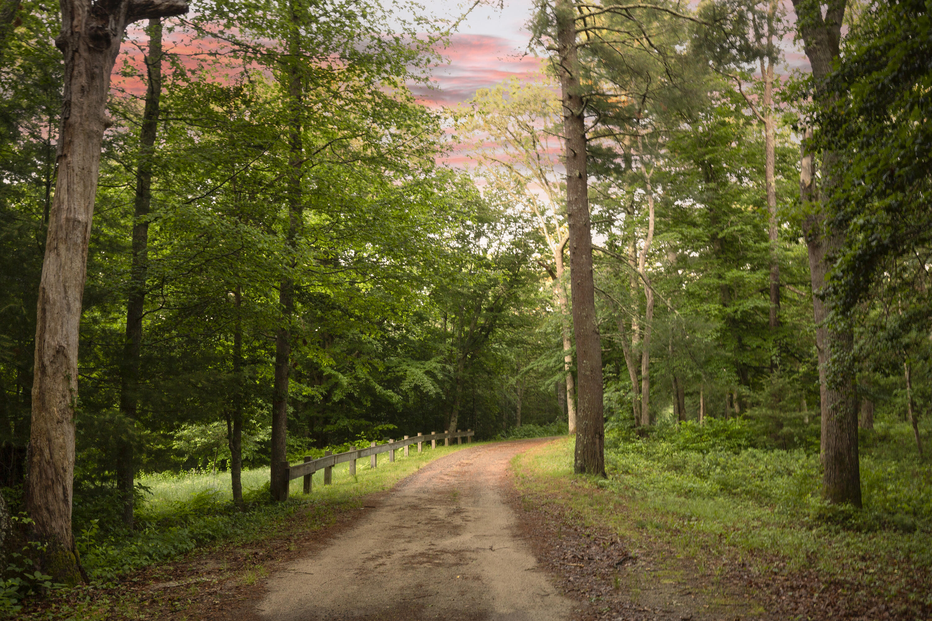 52 Boardley Road Sandwich, MA 02563 - Photo 98 of 100 a view of outdoor space and trees all around