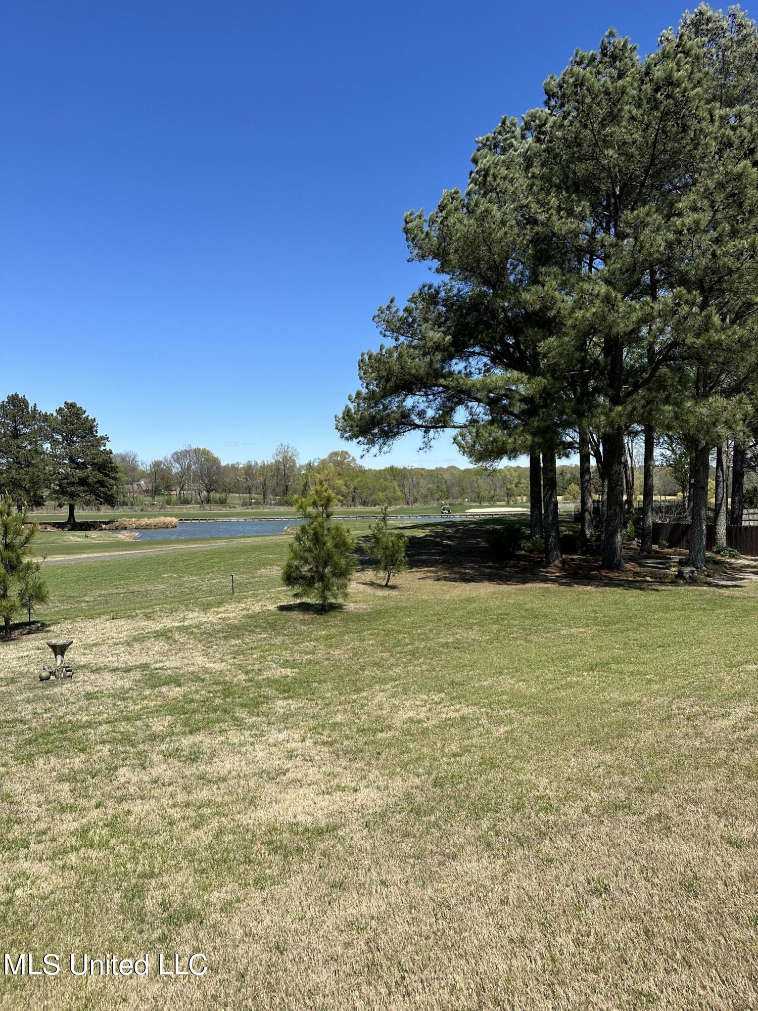 5254 Nail Road, Unit E Olive Branch, MS 38654 - Photo 32 of 34 backyard views