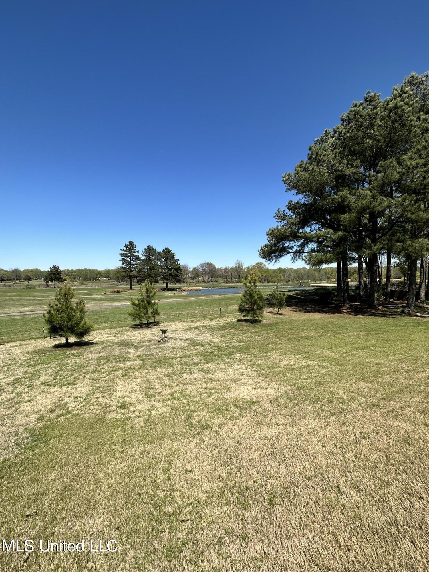5254 Nail Road, Unit E Olive Branch, MS 38654 - Photo 33 of 34 backyard views