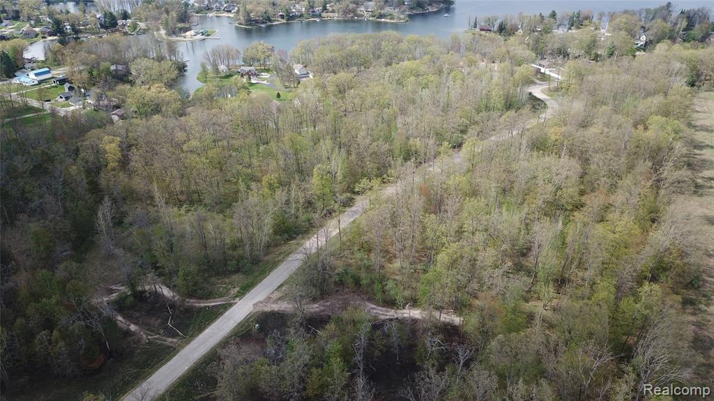 0 Oak Ridge Court Prescott, MI 48756 - Photo 6 of 20