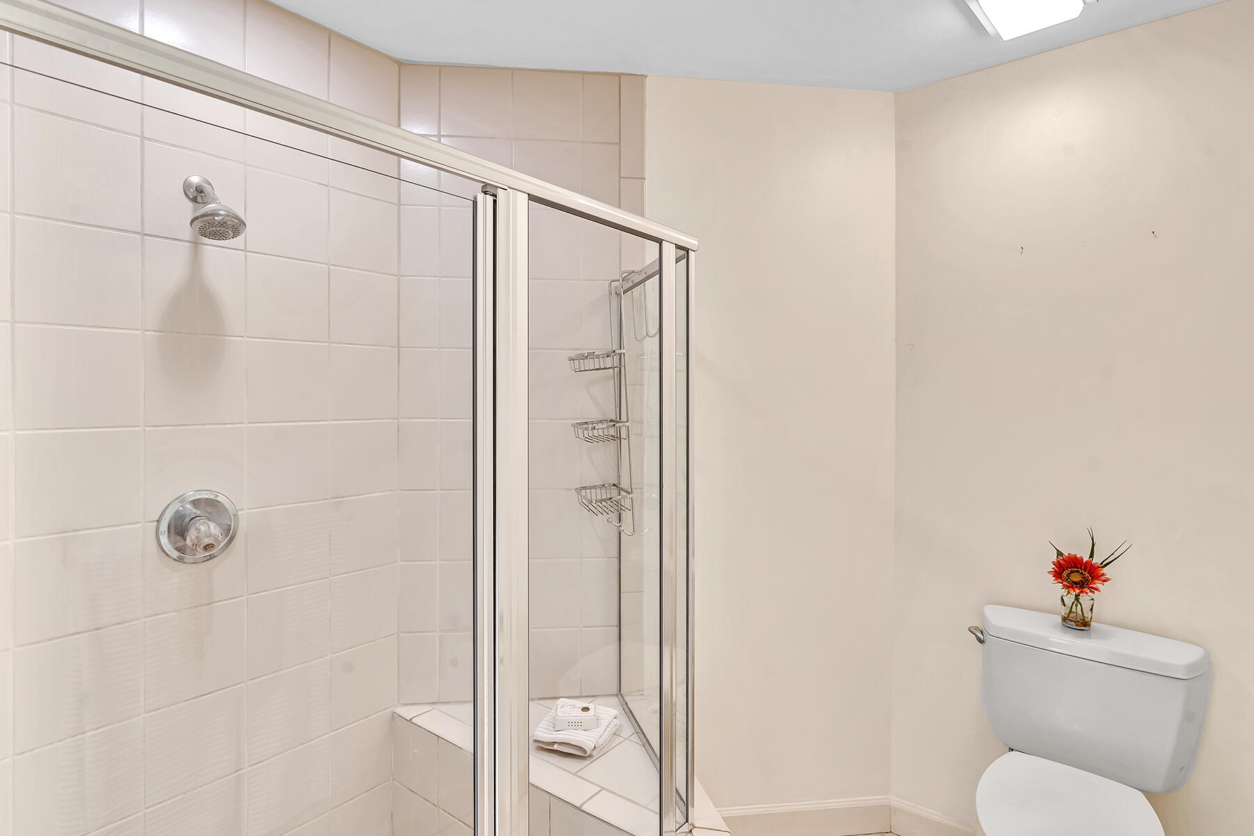 7417 Campo Florido Boca Raton, FL 33433 - Photo 39 of 74 2nd Bath Shower