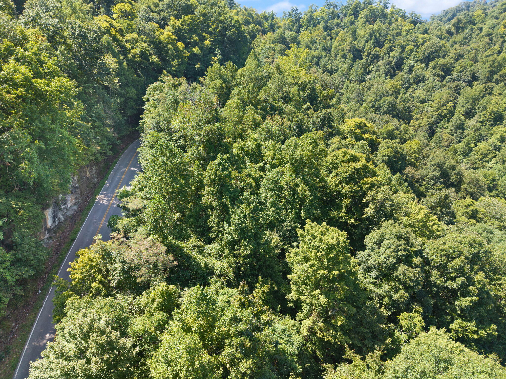 0 Bill Dee Br Road Kite, KY 41828 - Photo 31 of 45 32-web-or-mls-DJI_20260825123750_0732_D