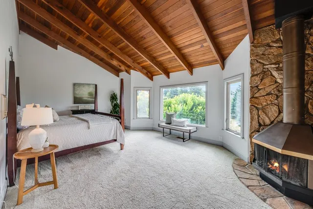 a view of a garden from a window