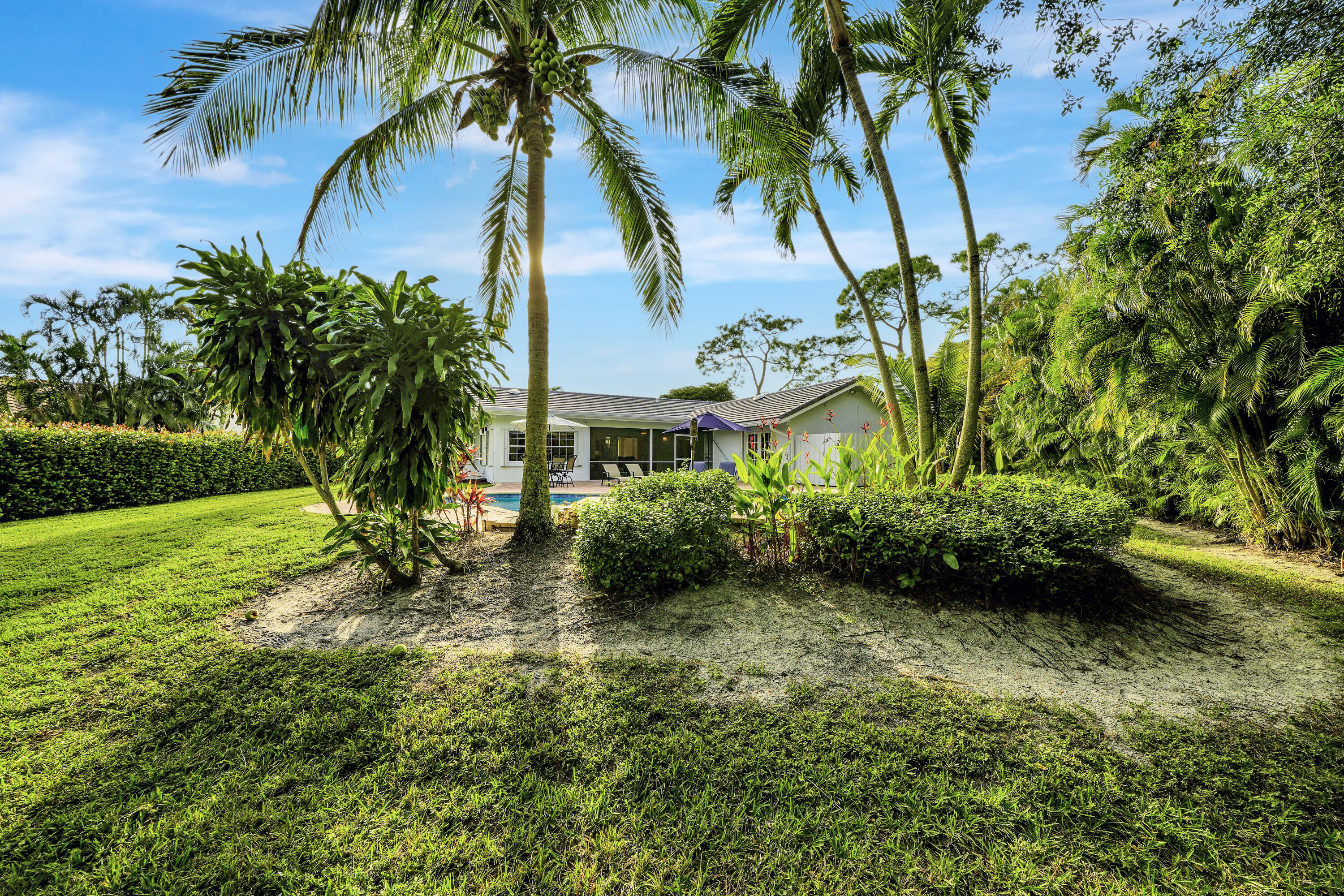 2475 Northwest 25th Street Boca Raton, FL 33431 - Photo 65 of 72 a view of a garden with a tree