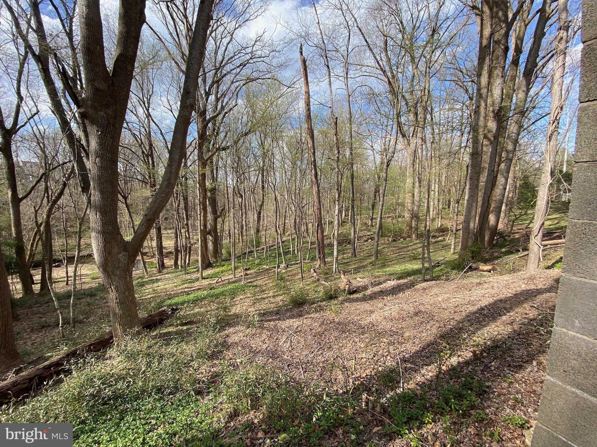 11800 Glen Mill Road Potomac, MD 20854 - Photo 24 of 36 Even with no Leaves - Feels like No Neighbors