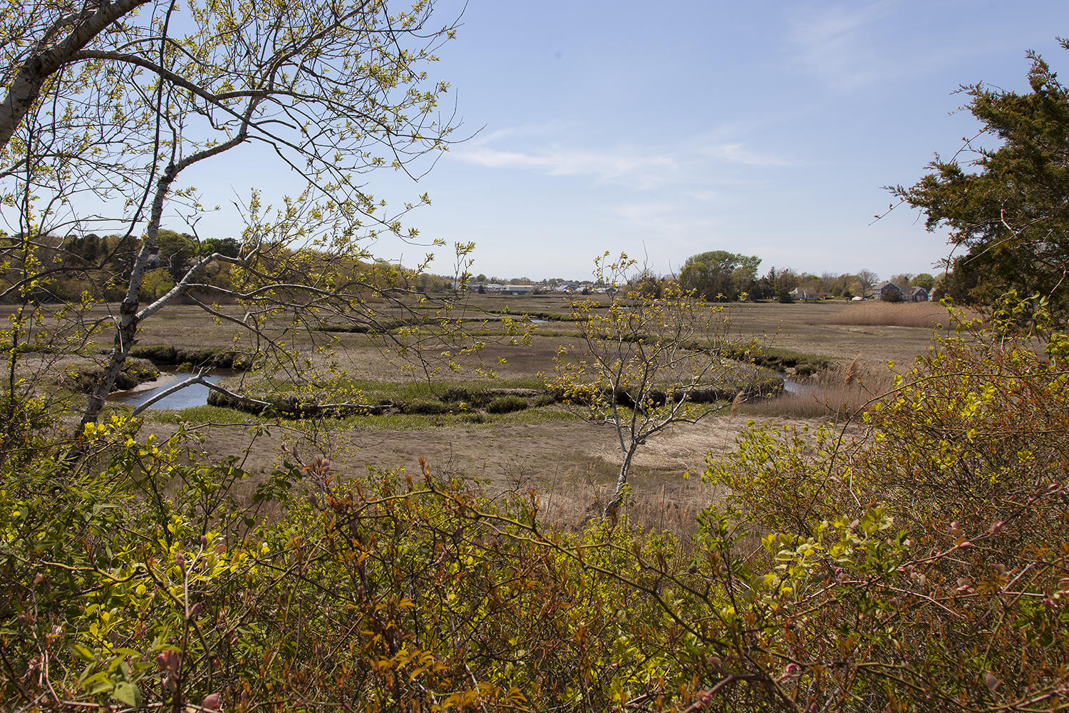 281 Commerce Road Barnstable, MA 02630 - Photo 10 of 27 IMG_4683a
