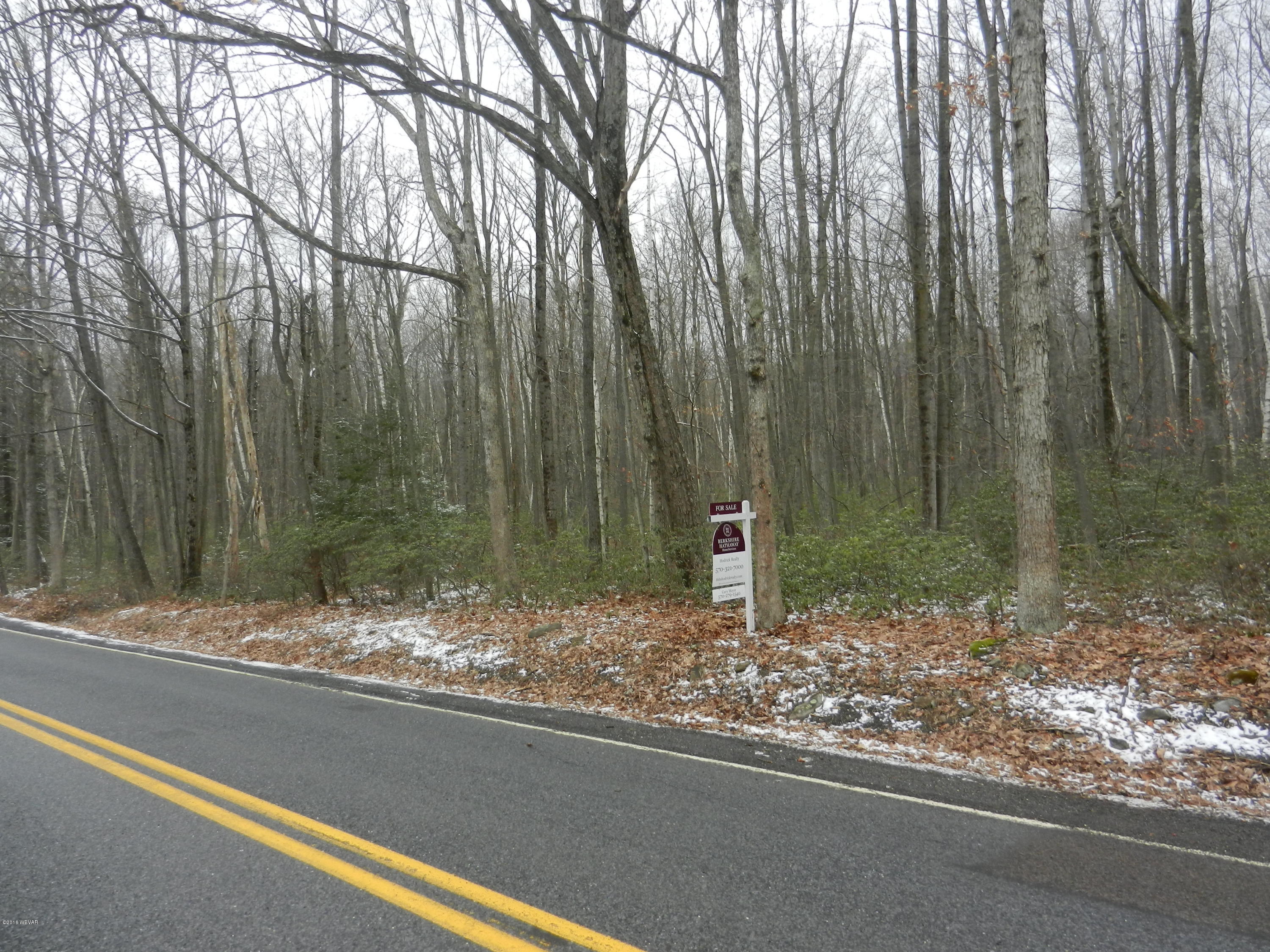 0 St Rt 239 Road, Unit PARCEL 131 Lairdsville, PA 17742 - Photo 1 of 4 Vacant land