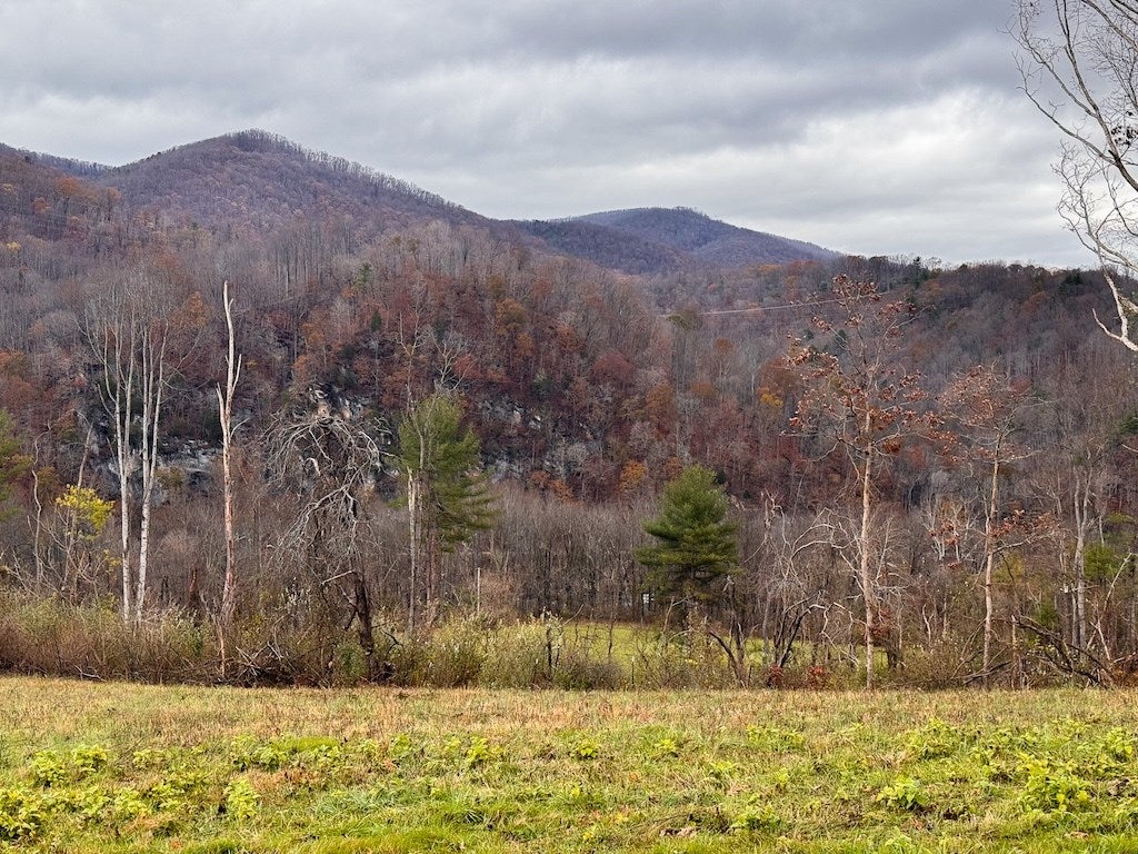 Lot 2 Curve Road Pearisburg, VA 24134 - Photo 34 of 34 Gallery Image 34