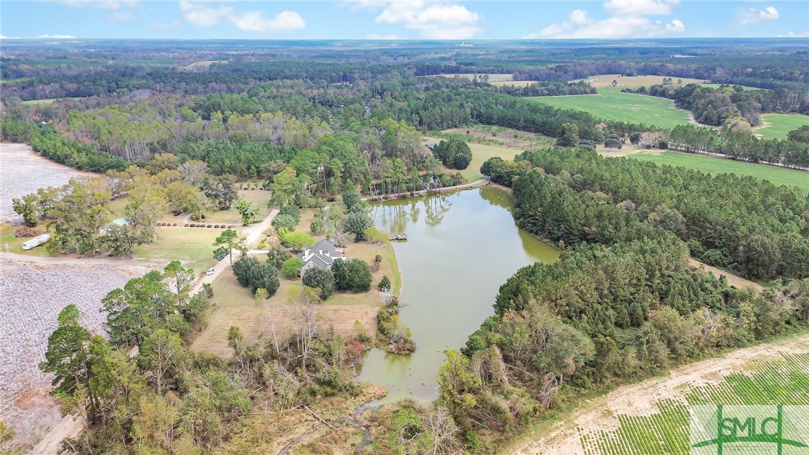 980 Bernard Smith Road Statesboro, GA 30461 - Photo 44 of 49 Birdseye view of private paradise