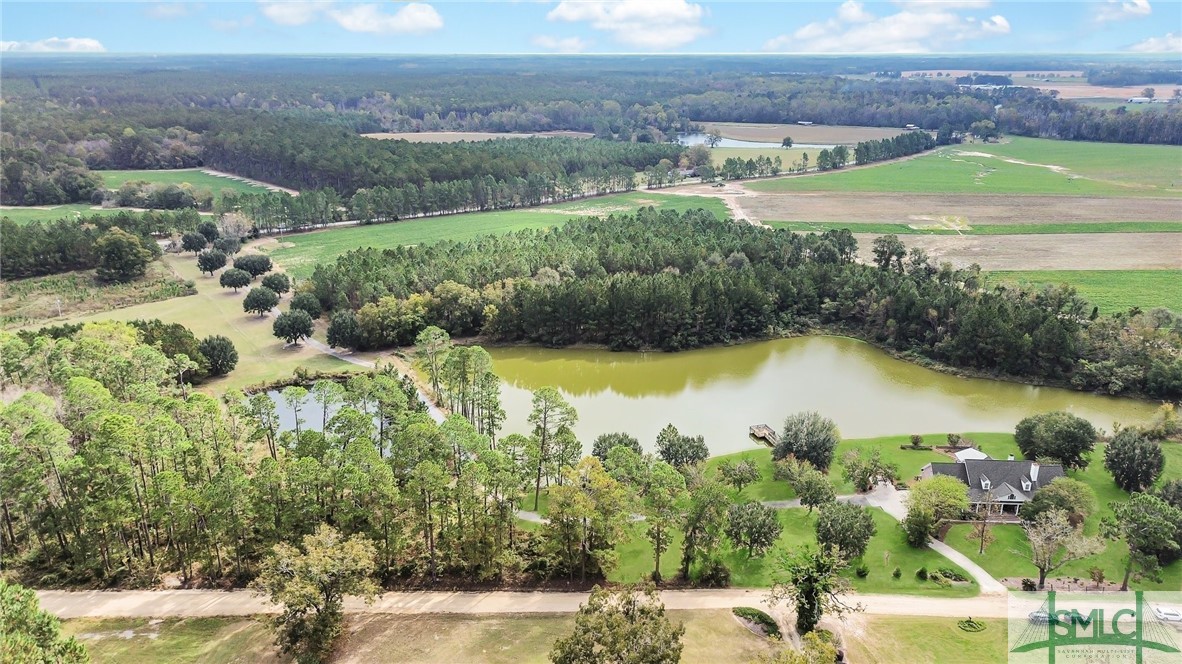 980 Bernard Smith Road Statesboro, GA 30461 - Photo 46 of 49 Birdseye view of private paradise