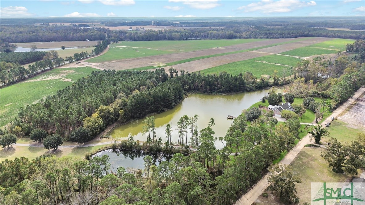 980 Bernard Smith Road Statesboro, GA 30461 - Photo 47 of 49 Birdseye view of private paradise