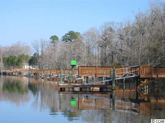 Lot 208 Chamberlin Road Myrtle Beach, SC 29588 - Photo 13 of 15 Gallery Image 13
