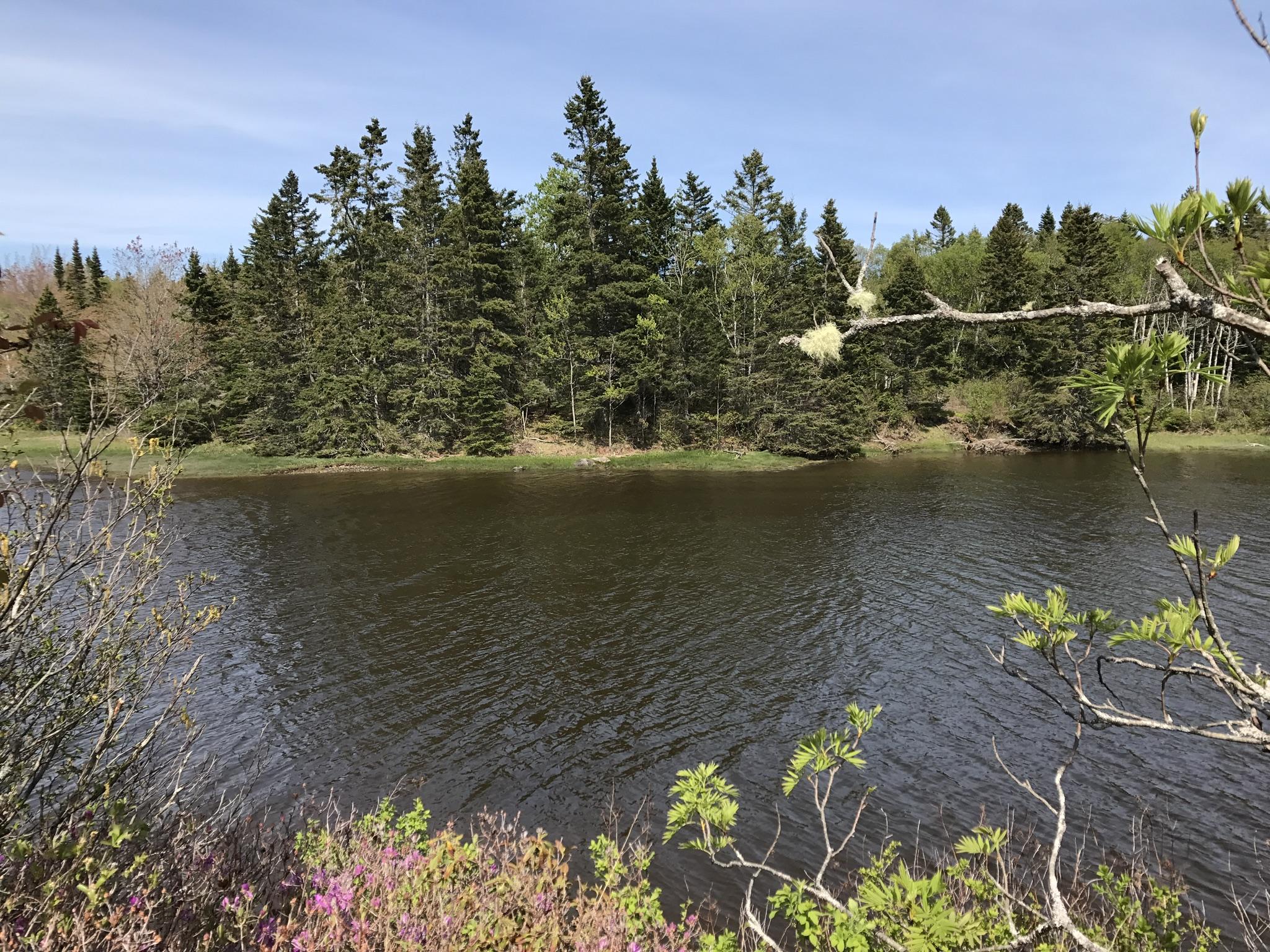 1001 Basin Road Addison, ME 04606 - Photo 14 of 16 image00028