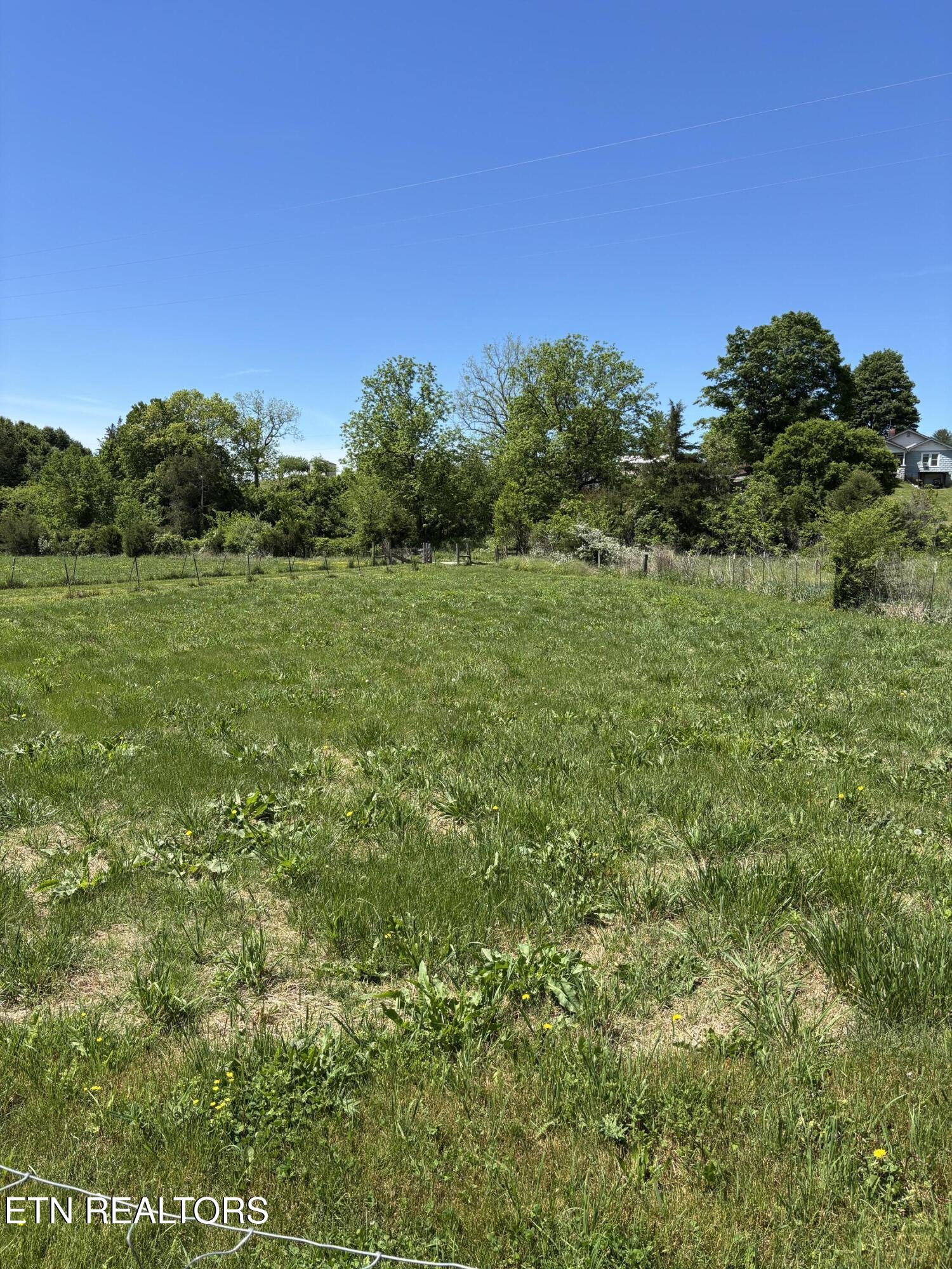 516 Thomas Road Speedwell, TN 37870 - Photo 37 of 37 IMG_8129