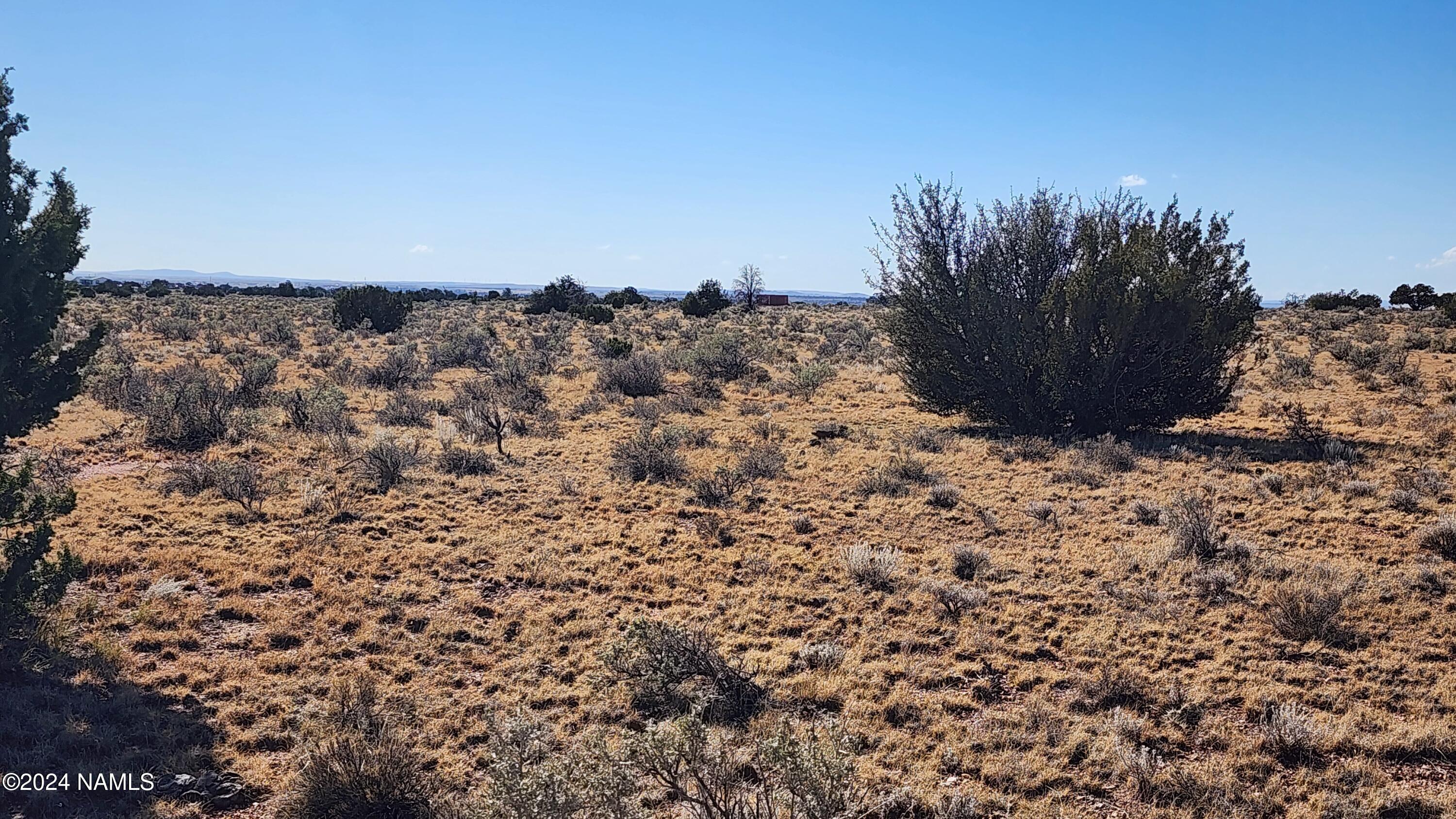 3433 Red Butte Road Williams, AZ 86046 - Photo 13 of 22 a view of a field with a tree in the background