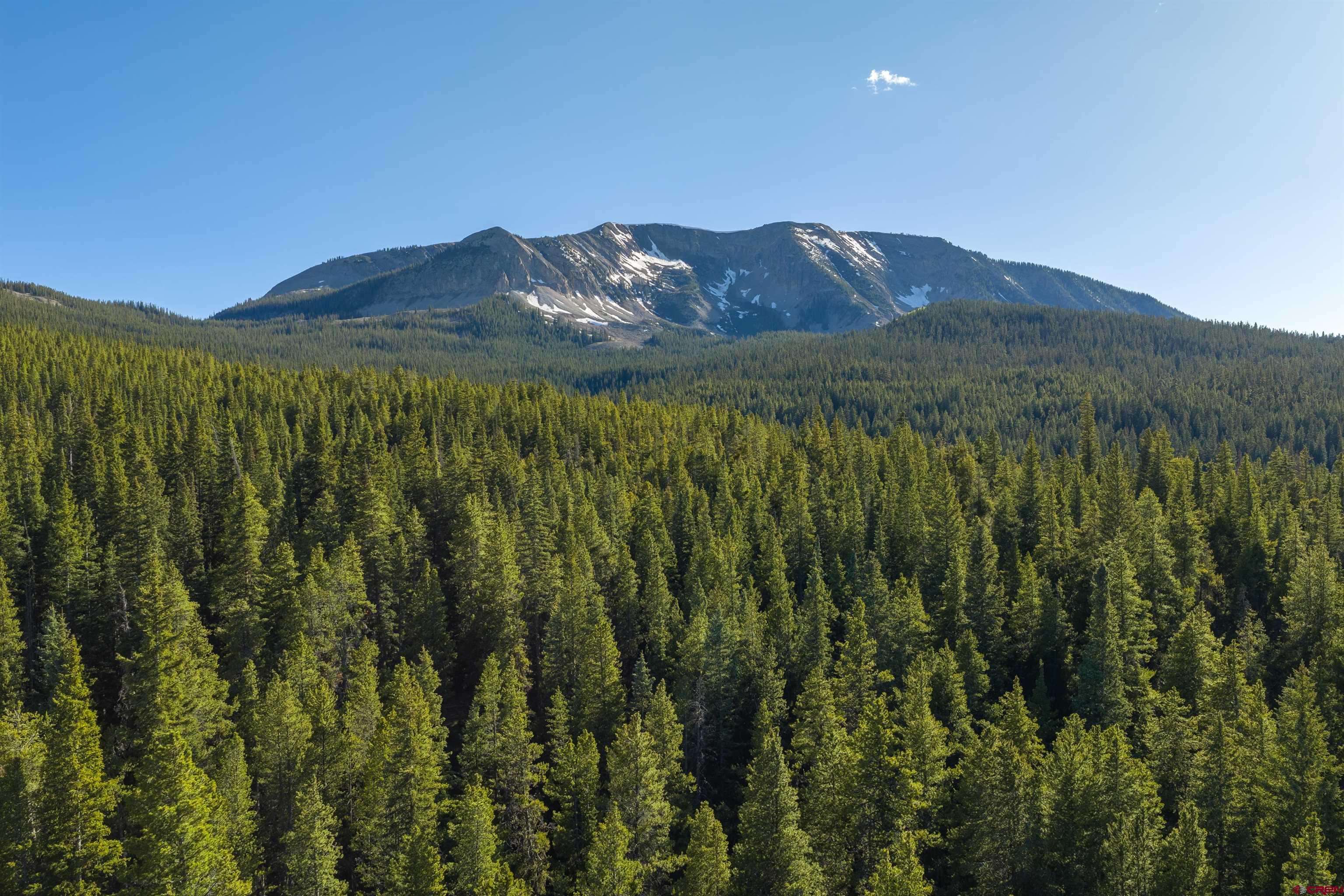 5350 Wildcat Trail Crested Butte, CO 81224 - Photo 17 of 20 a view of a lush green mountain with a mountain in the background