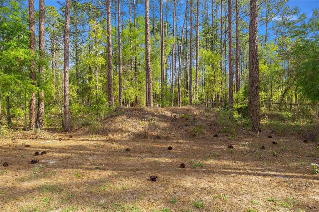 13131 Southwest 73rd Street Ocala, FL 34481 - Photo 22 of 30 a view of a backyard with potted plants