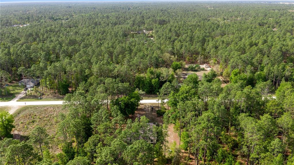 13131 Southwest 73rd Street Ocala, FL 34481 - Photo 28 of 30 a view of a green yard with large trees