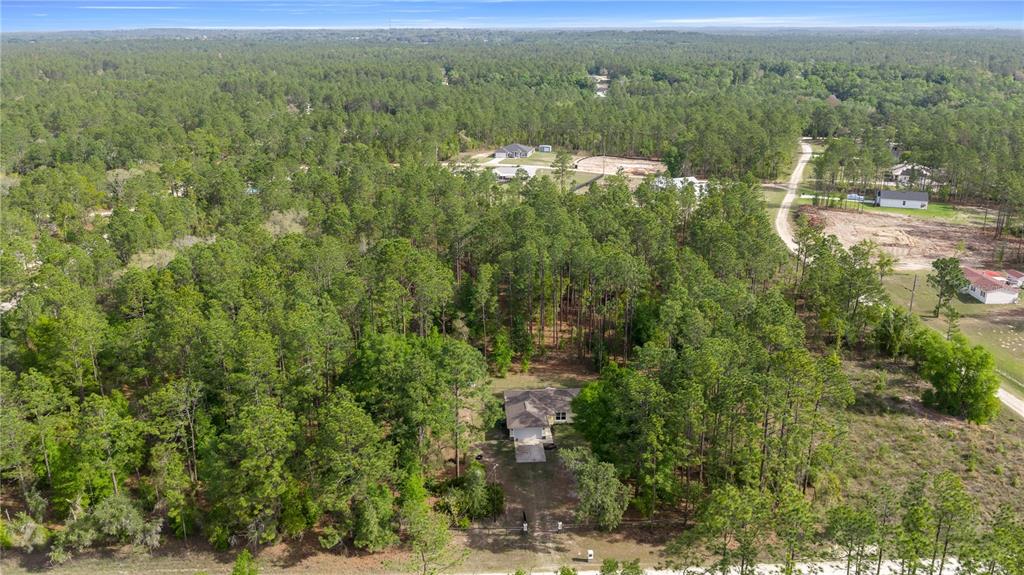 13131 Southwest 73rd Street Ocala, FL 34481 - Photo 30 of 30 a view of a lake with a mountain