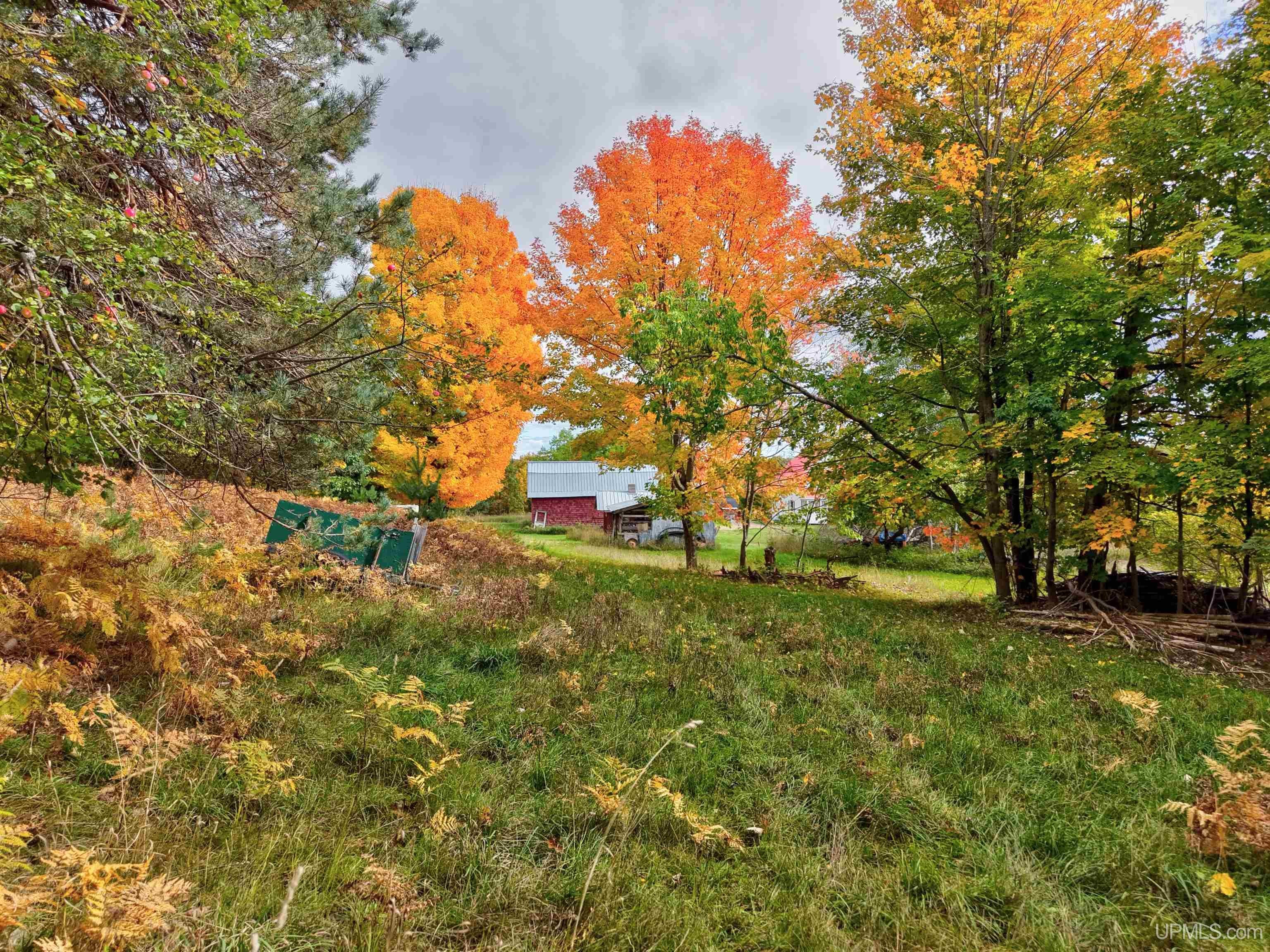 54499 Cemetery Road Calumet, MI 49913 - Photo 40 of 41 Gallery Image 40