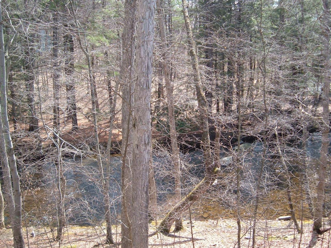 138 English Court Bushkill, PA 18324 - Photo 10 of 10 a picture of a tree