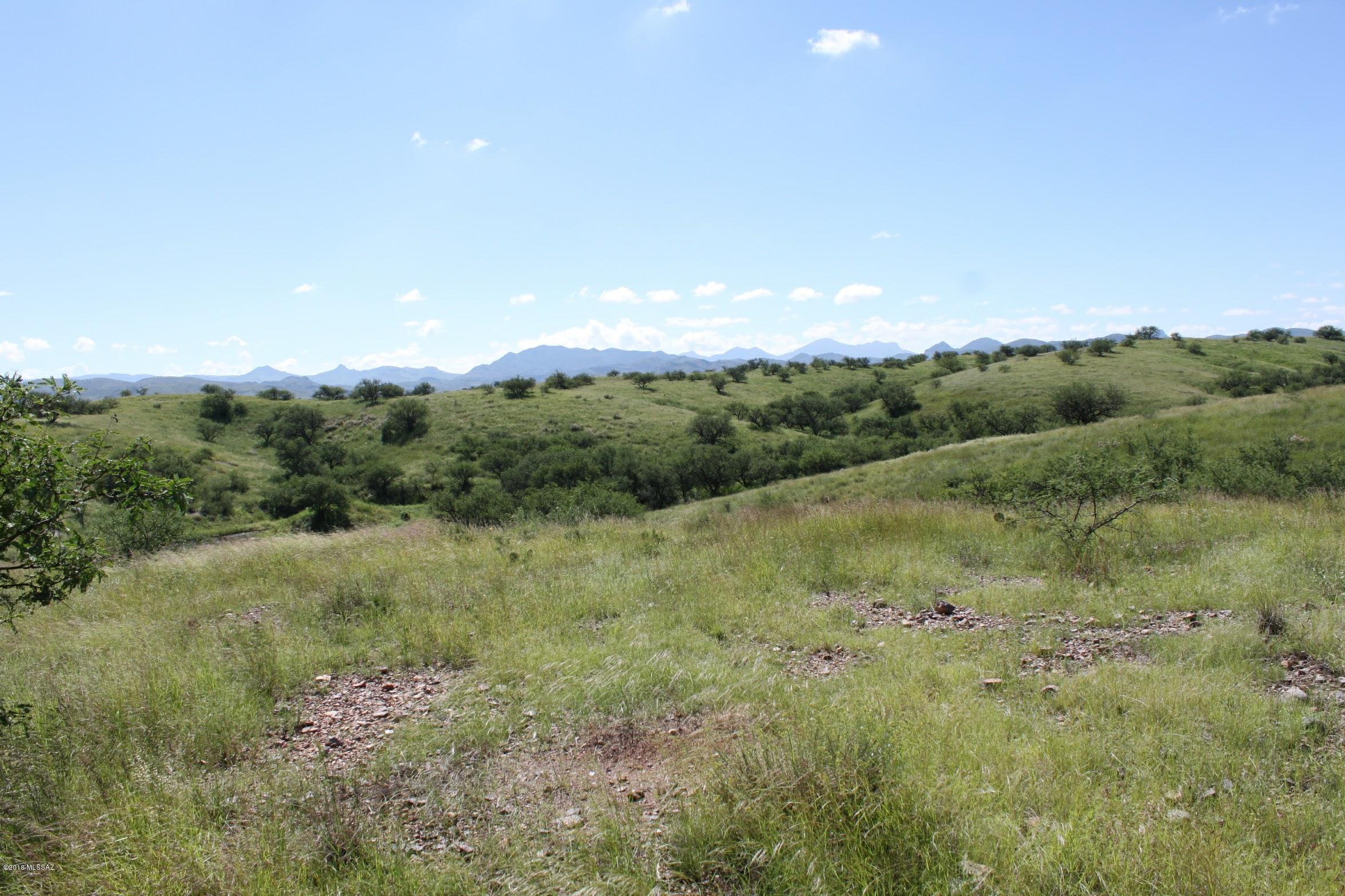 38101 South Wedgeford Road Arivaca, AZ 85601 - Photo 5 of 20